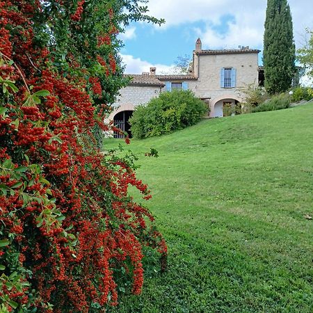 Agriturismo Del Frontino - Lo Studio Acqualagna Luaran gambar