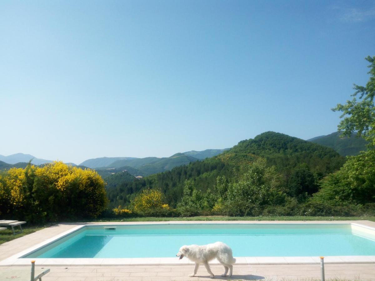 Agriturismo Del Frontino - Lo Studio Acqualagna Luaran gambar