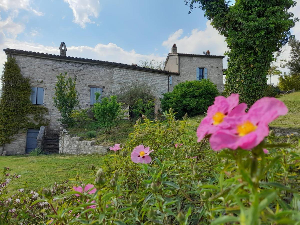 Agriturismo Del Frontino - Lo Studio Acqualagna Luaran gambar