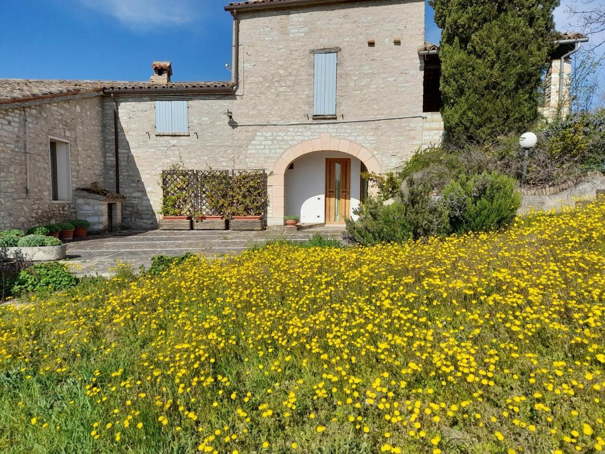 Agriturismo Del Frontino - Lo Studio Acqualagna Luaran gambar