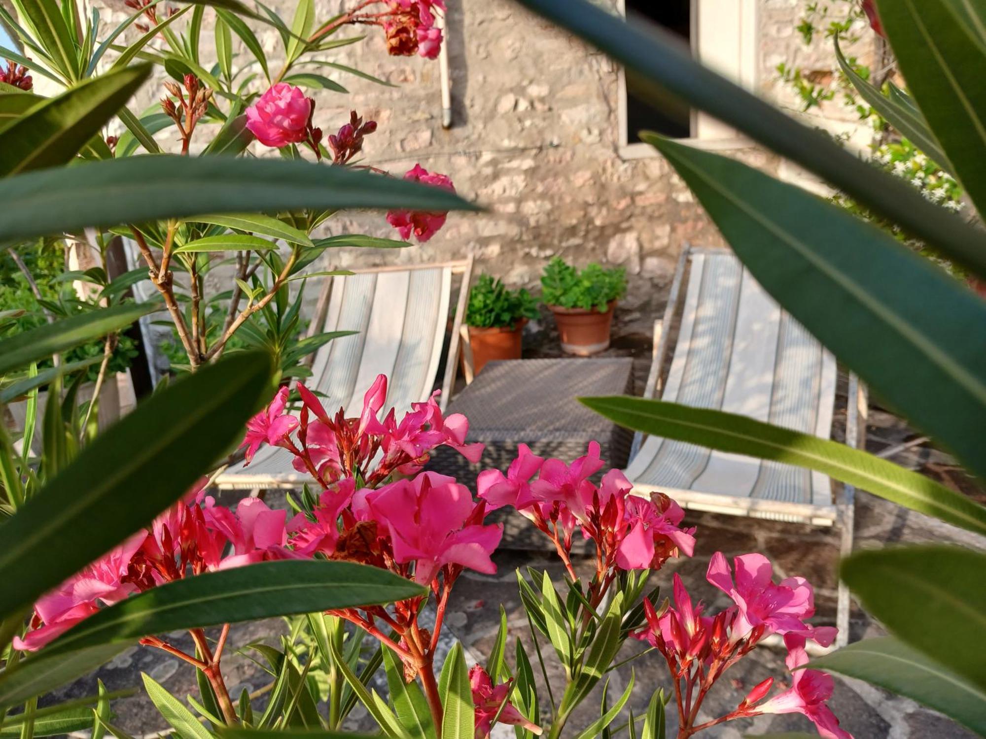Agriturismo Del Frontino - Lo Studio Acqualagna Luaran gambar