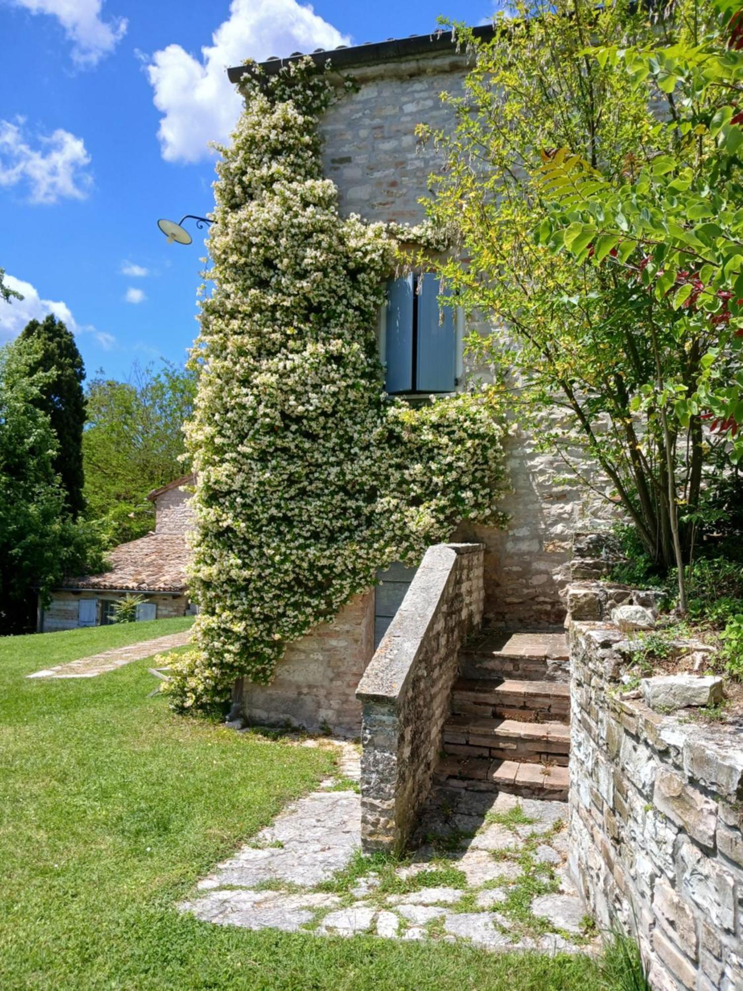 Agriturismo Del Frontino - Lo Studio Acqualagna Luaran gambar