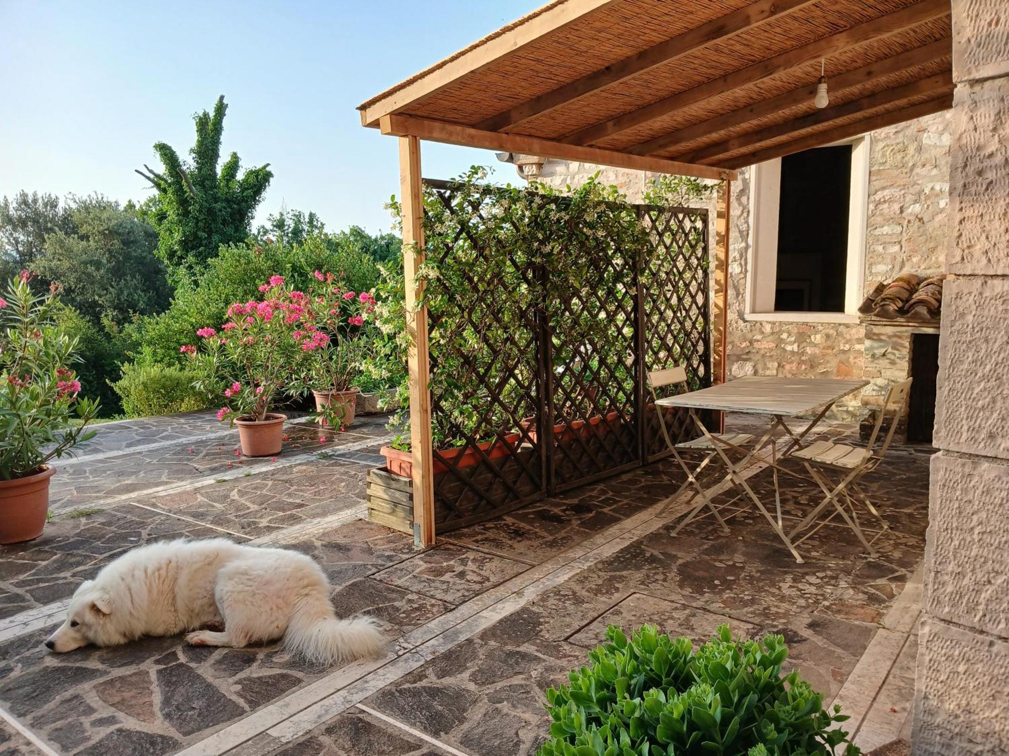 Agriturismo Del Frontino - Lo Studio Acqualagna Luaran gambar